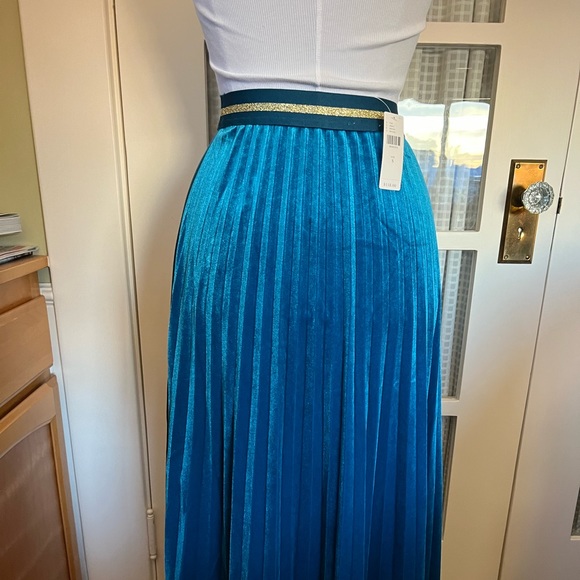 Gorgeous Velvet Maeve Skirt - Picture 6 of 9